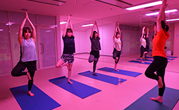 多彩なプログラムイメージ